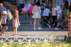 Фотография уличной сцены с людьми, лошадью в ярком убранстве и городской архитектурой. Изображение передает атмосферу оживленного города.