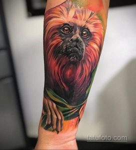 Фото интересного рисунка татуировки 03.09.2020 №046 -interesting tattoo- tatufoto.com