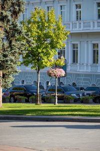 Фотография деревьев в парке на фоне здания. На переднем плане видны автомобили и зеленая лужайка.