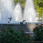 Фото людей у фонтана около Оперного – 17.09.2020 – tatufoto.com 15