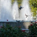 Фото людей у фонтана около Оперного – 17.09.2020 – tatufoto.com 16