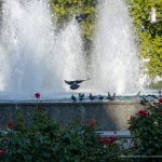 Фото людей у фонтана около Оперного – 17.09.2020 – tatufoto.com 17