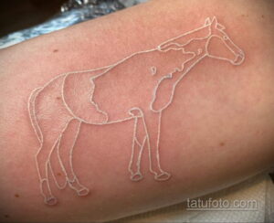 Фото пример белой татуировки 24.09.2020 №021 -white tattoo- tatufoto.com