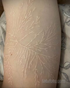Фото пример белой татуировки 24.09.2020 №031 -white tattoo- tatufoto.com