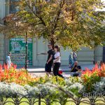 Черные тату скат и черепаха маори на руке парня - Уличная татуировка 14.09.2020 – tatufoto.com 11