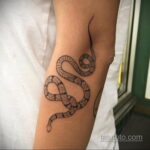 татуировка змеи на предплечье 25.10.2020 №002 -forearm tattoo- tatufoto.com