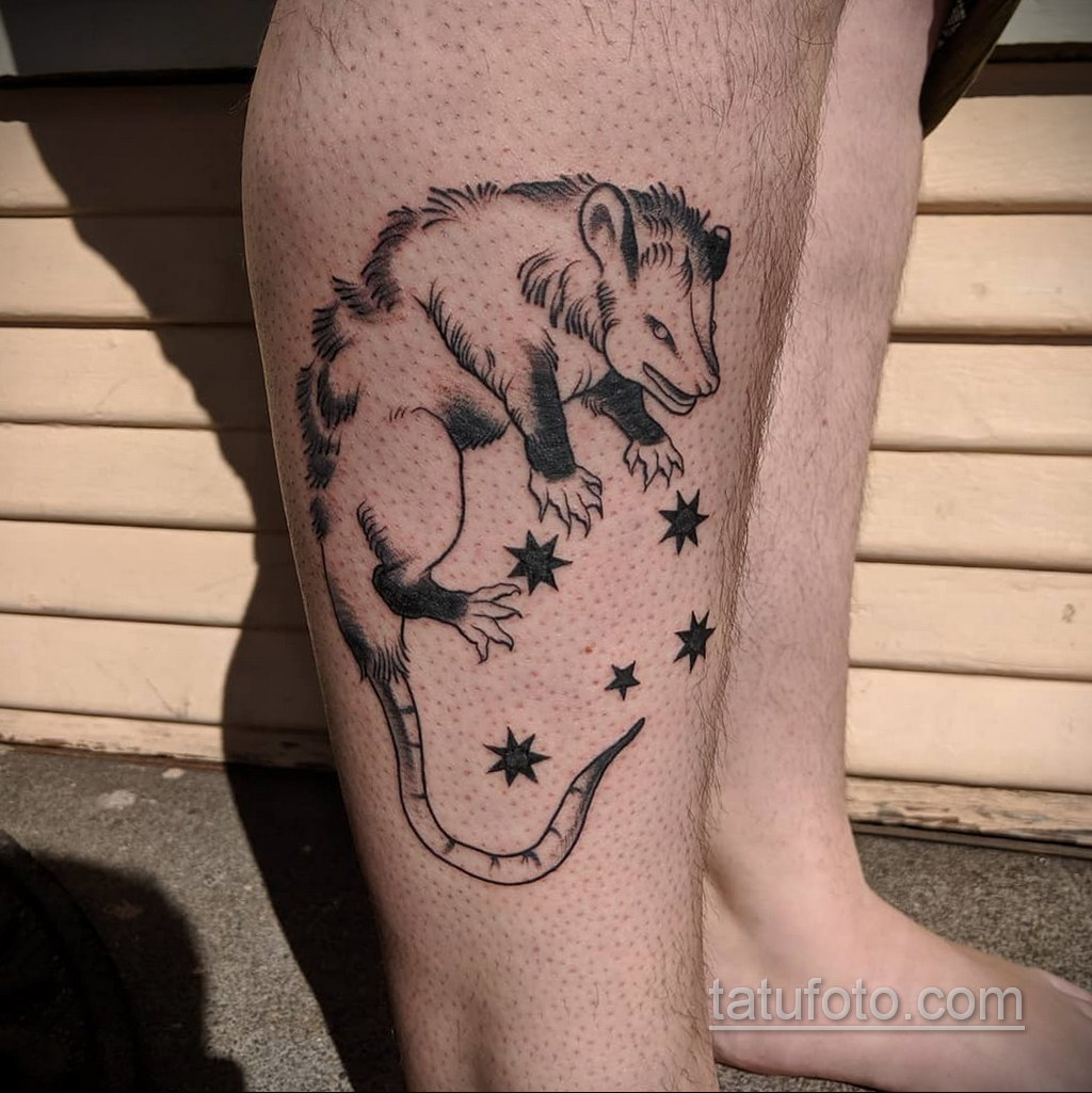 Фото пример рисунка тату Опоссум 18.11.2020 № 032 -Opossum tattoo- tatufoto...