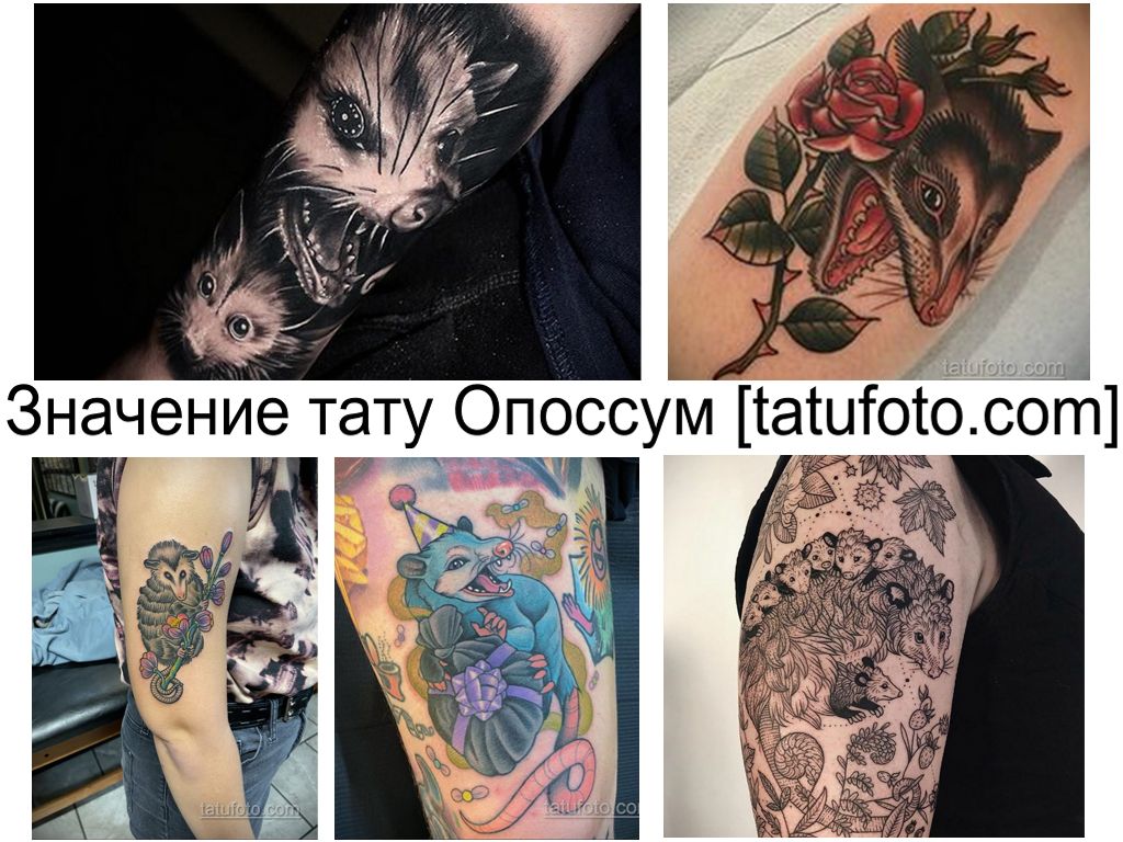 Значение тату Опоссум - информация про смысл и особенности - фото рисунков тату
