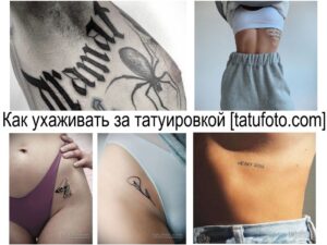Коллаж из нескольких фотографий татуировок: паук на спине, надпись на ребрах, бабочка на бедре, птица на руке и надпись на шее. Разнообразие стилей и сюжетов.