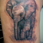 Рисунок тату слон- вариант 30.11.2020 №086 -elephant tattoo- tatufoto.com