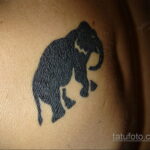 Рисунок тату слон- вариант 30.11.2020 №156 -elephant tattoo- tatufoto.com