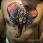 Рисунок тату слон- вариант 30.11.2020 №157 -elephant tattoo- tatufoto.com