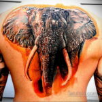 Рисунок тату слон- вариант 30.11.2020 №187 -elephant tattoo- tatufoto.com