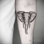 Рисунок тату слон- вариант 30.11.2020 №232 -elephant tattoo- tatufoto.com