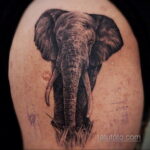 Рисунок тату слон- вариант 30.11.2020 №262 -elephant tattoo- tatufoto.com