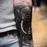 Рисунок тату слон- вариант 30.11.2020 №268 -elephant tattoo- tatufoto.com