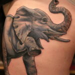Рисунок тату слон- вариант 30.11.2020 №271 -elephant tattoo- tatufoto.com