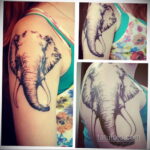 Рисунок тату слон- вариант 30.11.2020 №273 -elephant tattoo- tatufoto.com