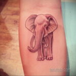 Рисунок тату слон- вариант 30.11.2020 №295 -elephant tattoo- tatufoto.com