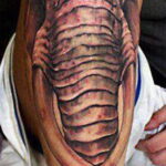 Рисунок тату слон- вариант 30.11.2020 №311 -elephant tattoo- tatufoto.com