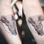 Рисунок тату слон- вариант 30.11.2020 №353 -elephant tattoo- tatufoto.com