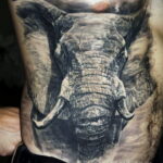 Рисунок тату слон на груди 30.11.2020 №002 -elephant tattoo on chest- tatufoto.com