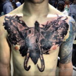 Рисунок тату слон на груди 30.11.2020 №008 -elephant tattoo on chest- tatufoto.com