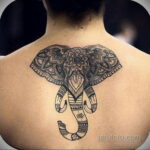 Рисунок тату слон на спине 30.11.2020 №015 -elephant tattoo on back- tatufoto.com