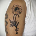 Фото оригинального рисунка татуировки 08.11.2020 №062 -original tattoo- tatufoto.com