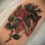 Фото пример рисунка тату Опоссум 18.11.2020 №014 -Opossum tattoo- tatufoto.com