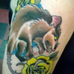 Фото пример рисунка тату Опоссум 18.11.2020 №017 -Opossum tattoo- tatufoto.com