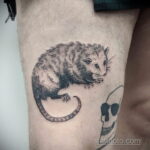 Фото пример рисунка тату Опоссум 18.11.2020 №030 -Opossum tattoo- tatufoto.com
