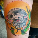 Фото пример рисунка тату Опоссум 18.11.2020 №034 -Opossum tattoo- tatufoto.com