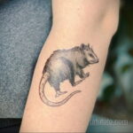 Фото пример рисунка тату Опоссум 18.11.2020 №040 -Opossum tattoo- tatufoto.com