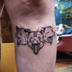 Фото пример рисунка тату Опоссум 18.11.2020 №055 -Opossum tattoo- tatufoto.com