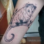 Фото пример рисунка тату Опоссум 18.11.2020 №056 -Opossum tattoo- tatufoto.com
