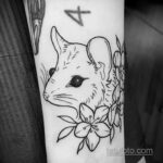 Фото пример рисунка тату Опоссум 18.11.2020 №081 -Opossum tattoo- tatufoto.com