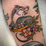 Фото пример рисунка тату Опоссум 18.11.2020 №091 -Opossum tattoo- tatufoto.com