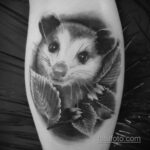 Фото пример рисунка тату Опоссум 18.11.2020 №093 -Opossum tattoo- tatufoto.com