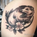Фото пример рисунка тату Опоссум 18.11.2020 №101 -Opossum tattoo- tatufoto.com