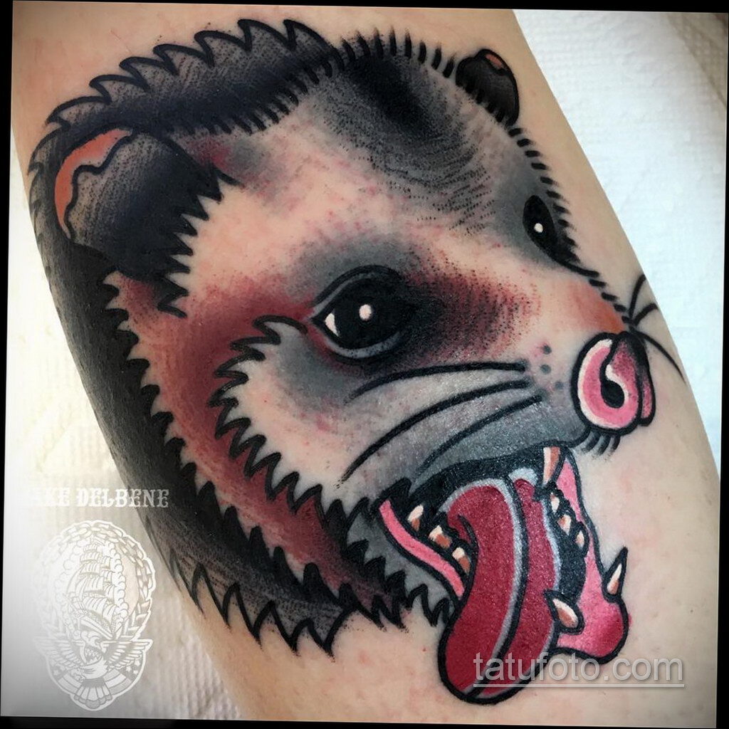 Фото пример рисунка тату Опоссум 18.11.2020 №135 -Opossum tattoo- tatufoto.com