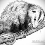 Фото пример рисунка тату Опоссум 18.11.2020 №139 -Opossum tattoo- tatufoto.com