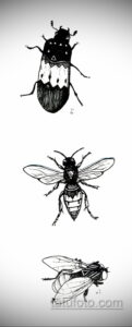 Коллекция эскизов тату с изображением различных насекомых: жуков, ос и пчел. Идеально для любителей природы и оригинальных татуировок.
