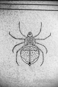 Черно-белый эскиз татуировки с изображением паука, выполненный в стиле Blackwork с использованием плотной штриховки и геометрических узоров.