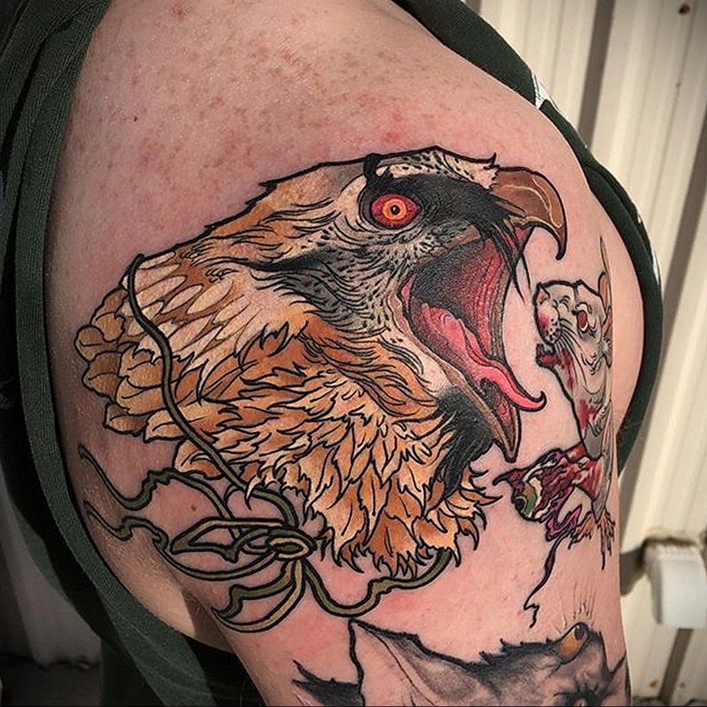 Пример рисунка татуировки птица Гриф 13.12.2020 № 011 -tattoo vulture- tatu...