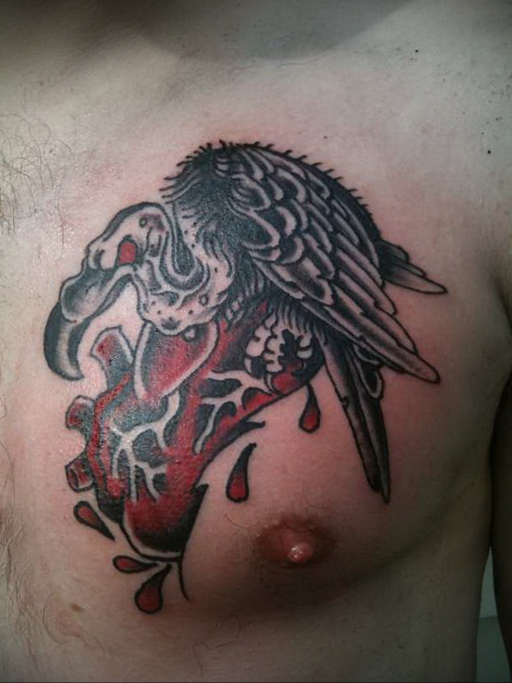 Пример рисунка татуировки птица Гриф 13.12.2020 № 114 -tattoo vulture- tatu...