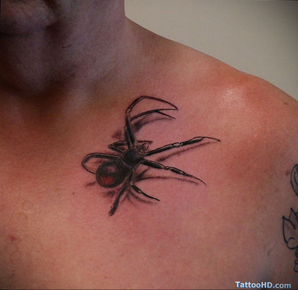 Тату паук у мужчины. Тату паук. Тату паук на ключице. Тату паук на груди. Тату паук 3д.