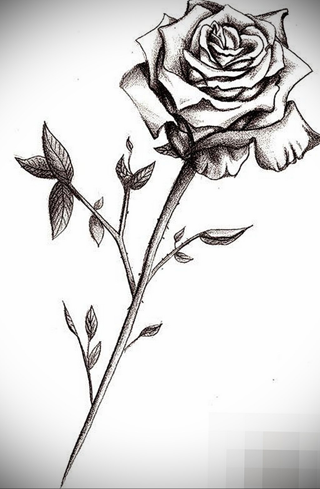 Эскиз для тату роза на предплечье 01.12.2020 № 036 -rose tattoo- tatufoto.c...
