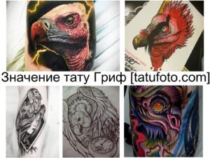 Коллаж из нескольких эскизов татуировок с изображением грифа в разных стилях и техниках. Разнообразие цветов и композиций.