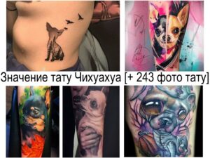 Фото тату: подборка изображений татуировок с чихуахуа в различных стилях и на разных частях тела.